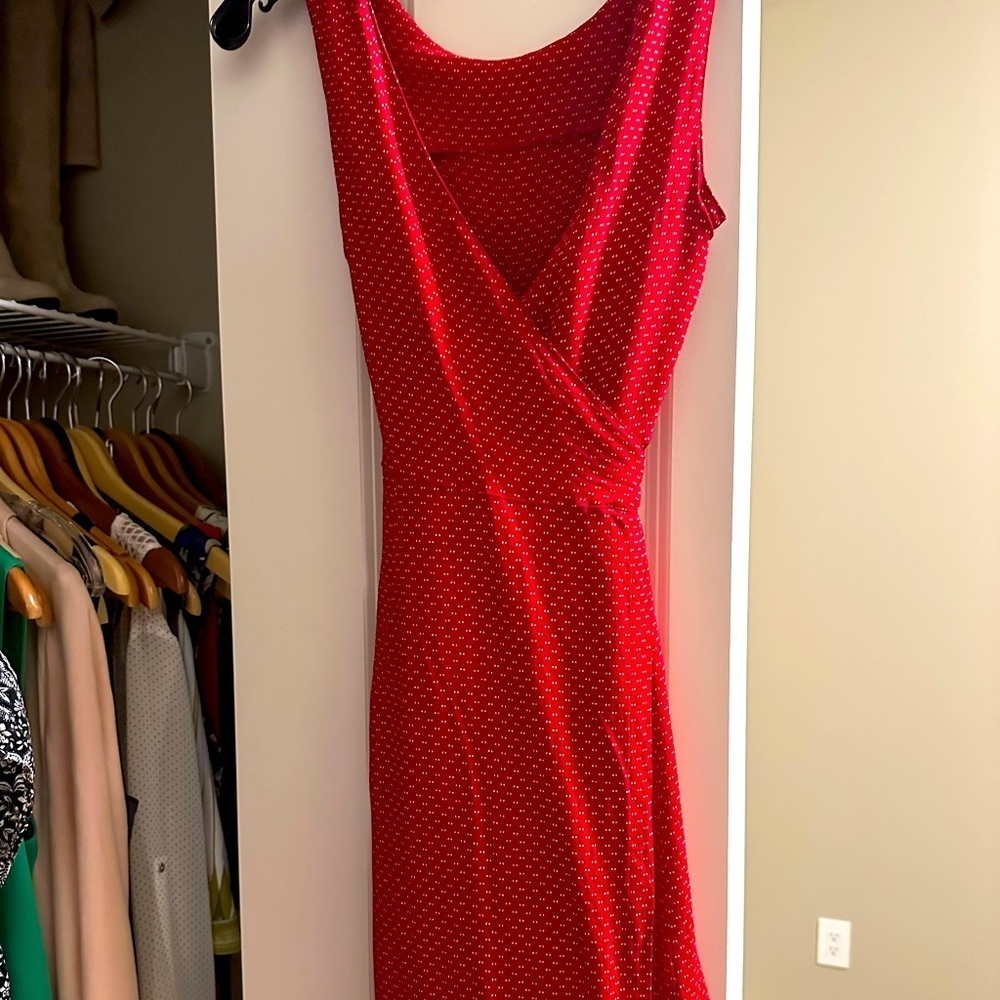 Club Monaco dress